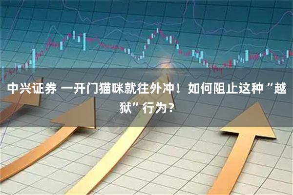 中兴证券 一开门猫咪就往外冲！如何阻止这种“越狱”行为？